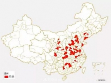 中国各城市市花大集合！月季是51个城市市花具首位
