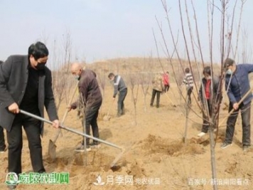 南阳南召县苗木产业夺胜利 生态扶贫收红利