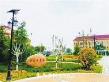 天津市西青区“赤龙月季园”建成开放