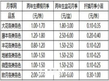 南阳造型月季价格表