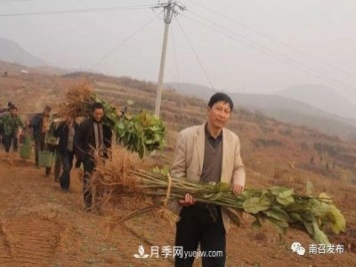 南召县邱峰：玉兰苗木脱贫攻坚战场上“最可爱的人”