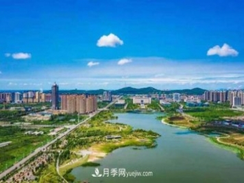 淮南市花、市树是什么？是月季吗？