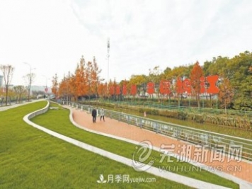 芜湖绿化提升打造优美景观