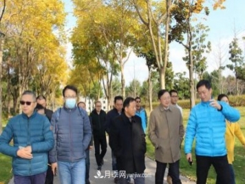 提升城市园林绿化，苏州向上海学什么？