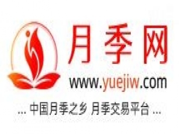 月季网的官网地址是什么？