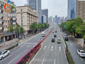 武汉市首条全月季景观带 为“五一”小长假增色添彩