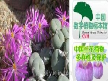 中国植物科学门户