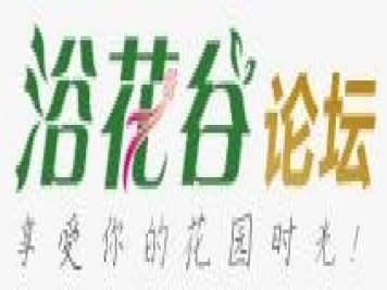 浴花谷花卉论坛