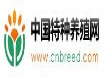 中国特种养殖网