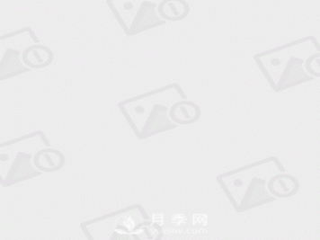 大叶女贞和小叶女贞到底有哪些区别呢？就叶子不同？