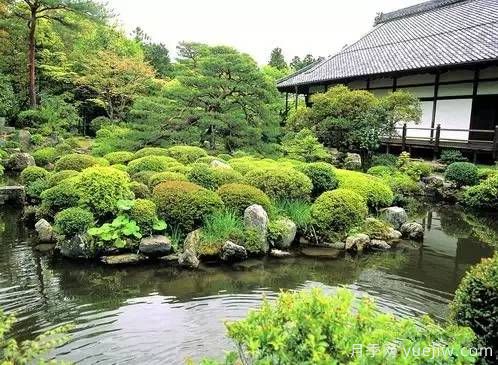 庭院设计与植物搭配的6大风格和30种玩法(图5)