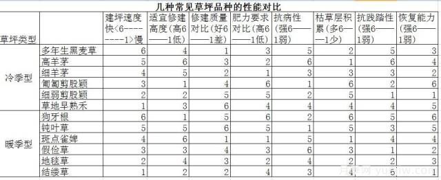 最优草坪品种分类和搭配运用(图2)