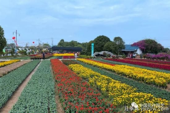 2021年第二届广西花卉苗木交易会在桂林举办(图3)
