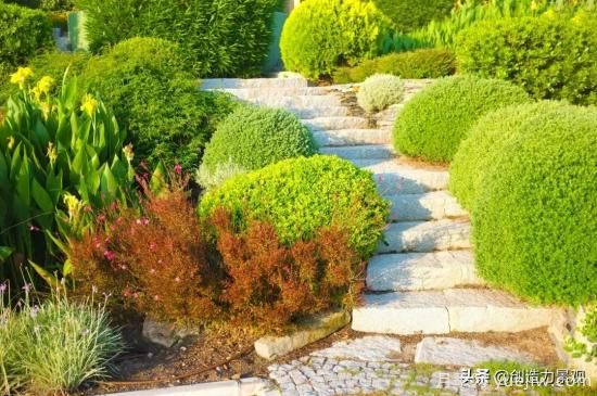 冬季植物应该怎么打理，才能来年依旧繁花似锦(图3)