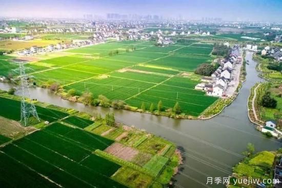 乡村振兴的10个新观点，***后两点很赞(图3)