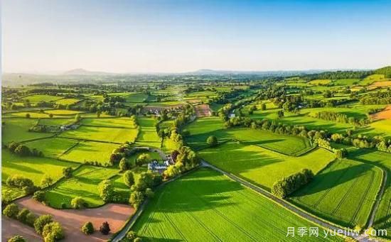 乡村振兴的10个新观点，***后两点很赞(图1)