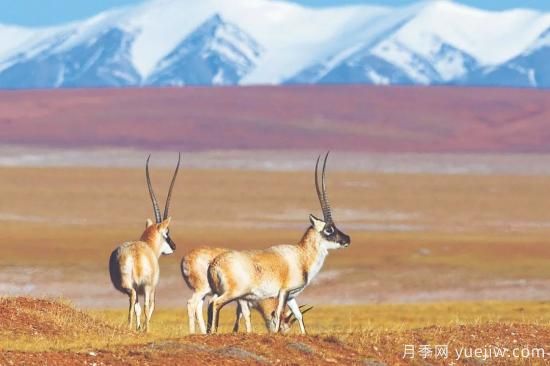 5个国家公园 5类别样景观(图1)