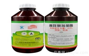 读懂园林养护常用杀虫剂(图3)