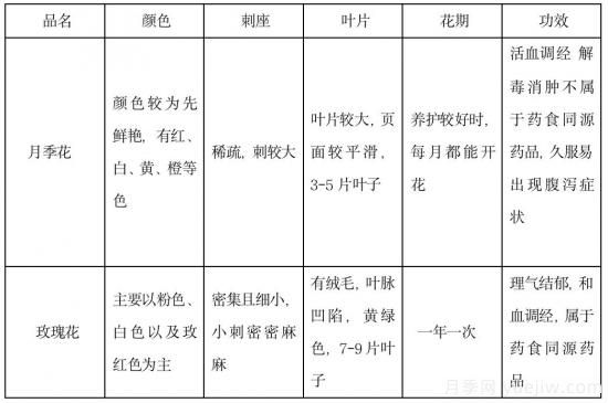 月季和玫瑰如何区分？图解科普很详细(图14)