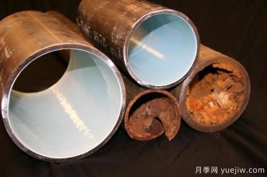 耐寒性，你家月季抗不抗冻？月季如何过冬(图13)