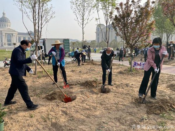 捐赠120个品种1200株月季，感恩母校河南农业大学情(图2)